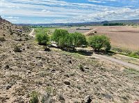 16252 Shavano Valley Road, Montrose, CO 81403