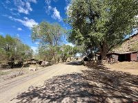 16252 Shavano Valley Road, Montrose, CO 81403
