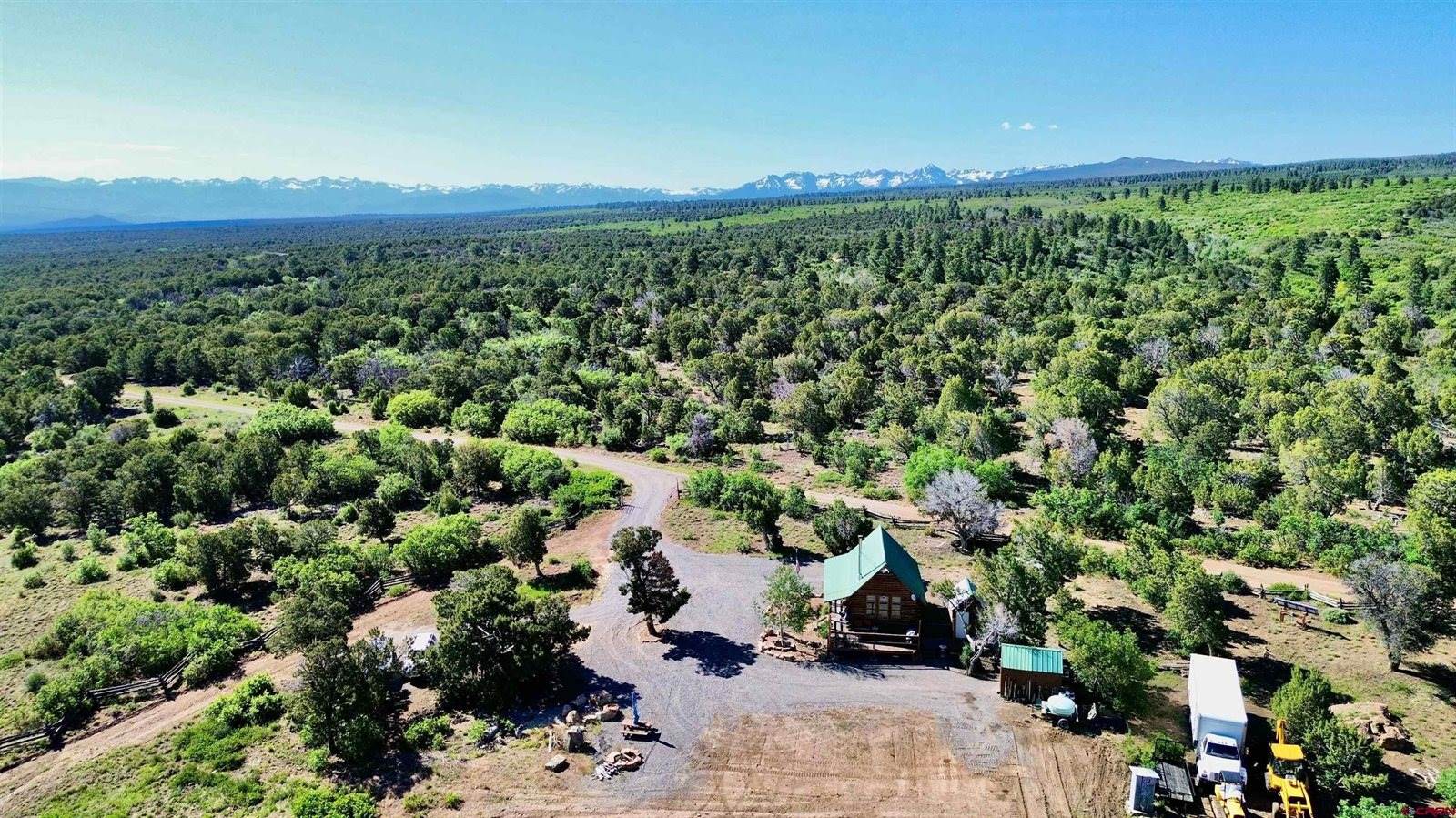 1165 TIMBER RIDGE Road, Montrose, CO 81401