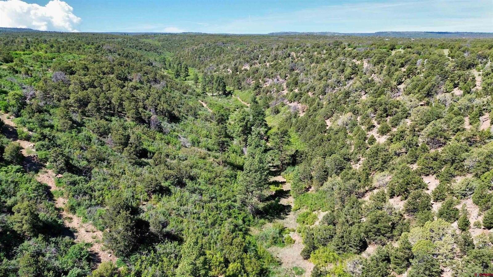 1165 TIMBER RIDGE Road, Montrose, CO 81401