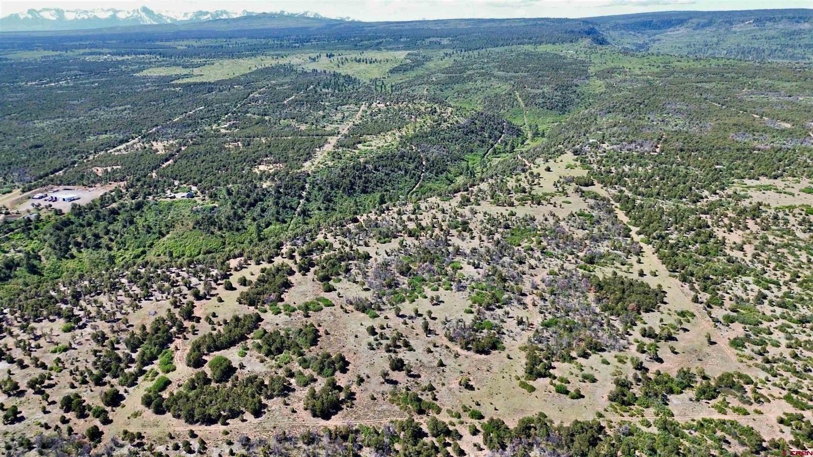 1165 TIMBER RIDGE Road, Montrose, CO 81401