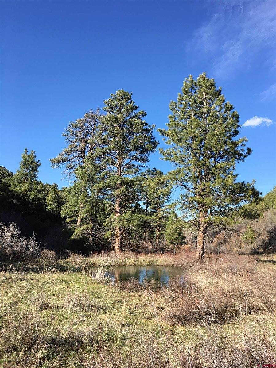 1165 TIMBER RIDGE Road, Montrose, CO 81401