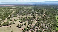 1165 TIMBER RIDGE Road, Montrose, CO 81401