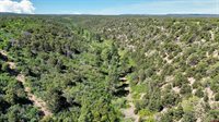 1165 TIMBER RIDGE Road, Montrose, CO 81401