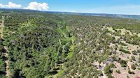 1165 TIMBER RIDGE Road, Montrose, CO 81401