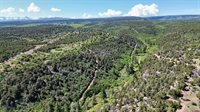1165 TIMBER RIDGE Road, Montrose, CO 81401