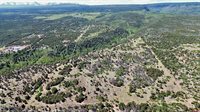 1165 TIMBER RIDGE Road, Montrose, CO 81401