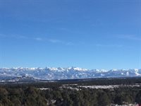 1165 TIMBER RIDGE Road, Montrose, CO 81401