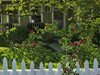 1227 S 2nd Street, Montrose, CO 81401