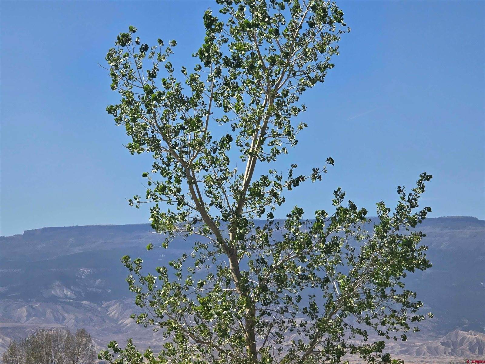 21026 Pleasant Valley Road, Delta, CO 81416