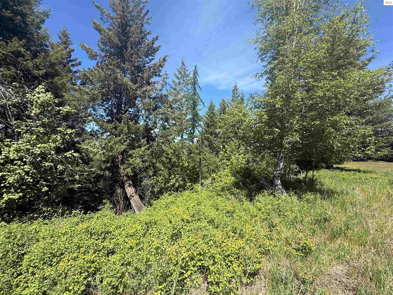 NKA Elderberry Road, Bonners Ferry, ID 83805