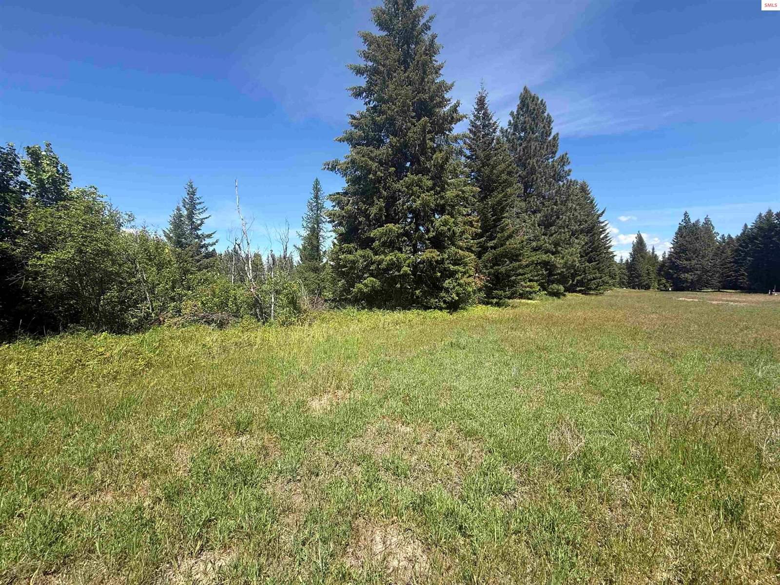 NKA Elderberry Road, Bonners Ferry, ID 83805