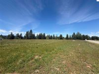 NKA Elderberry Road, Bonners Ferry, ID 83805