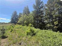 NKA Elderberry Road, Bonners Ferry, ID 83805