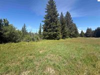 NKA Elderberry Road, Bonners Ferry, ID 83805