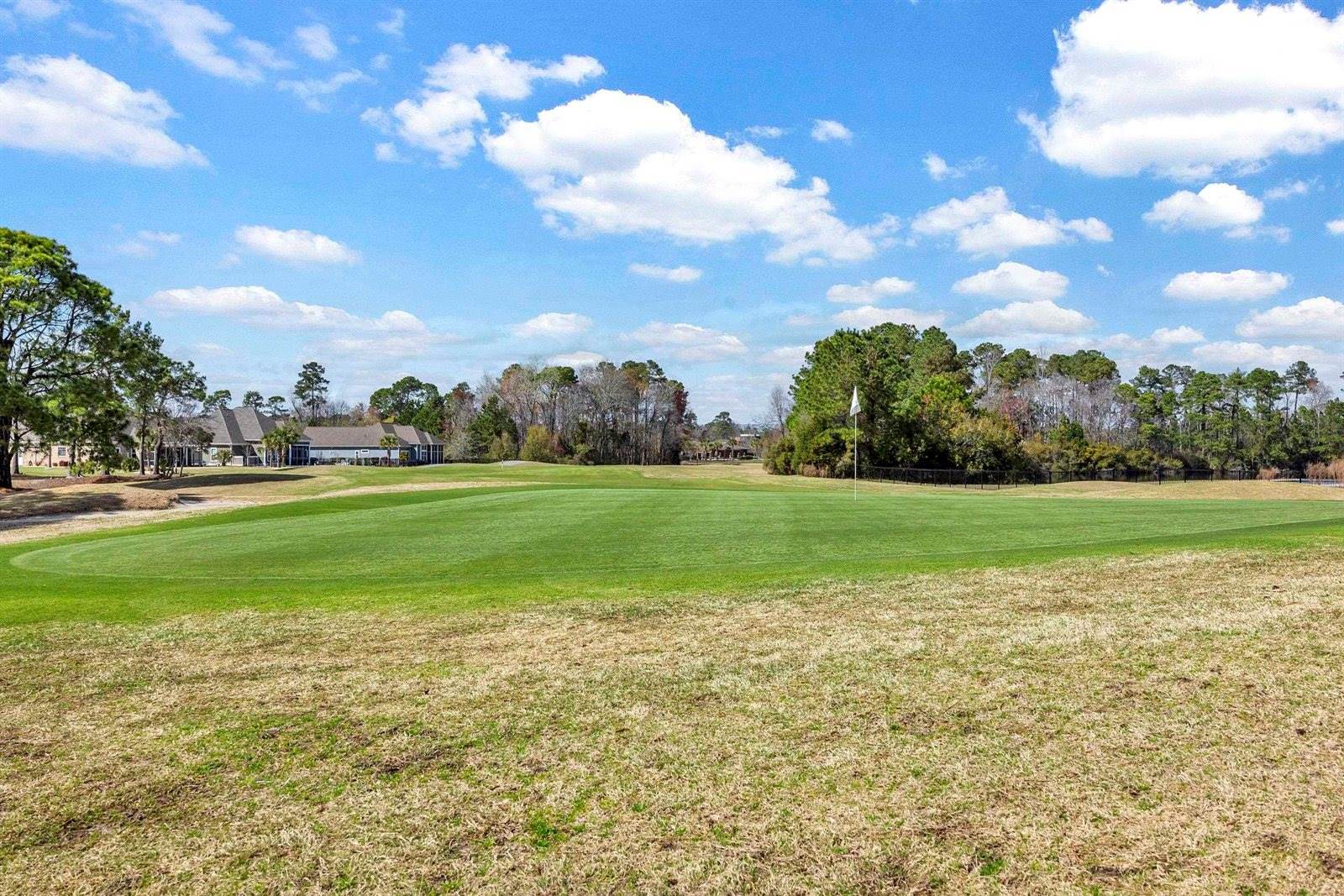 1004 Whooping Crane Dr., Conway, SC 29526