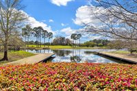 1004 Whooping Crane Dr., Conway, SC 29526