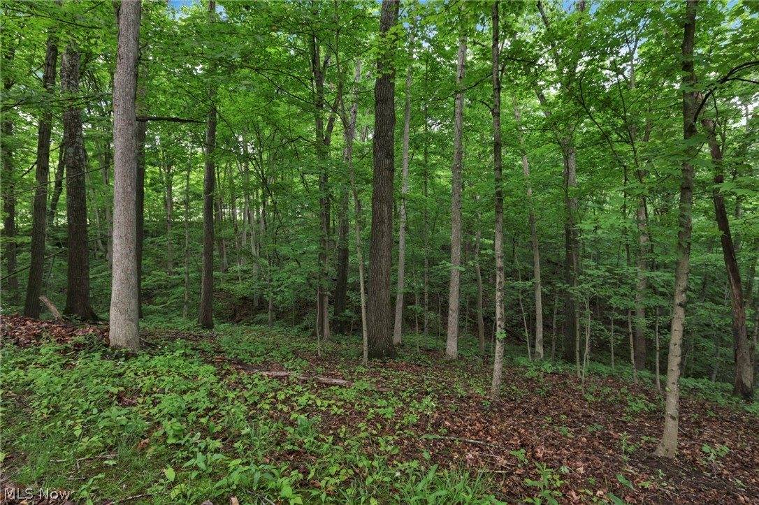 60467 Apache Lane, Senecaville, OH 43780