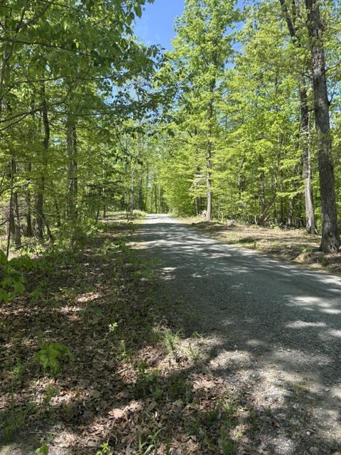 Davis Lane, Aroda, VA 22709