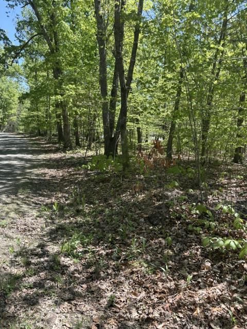 Davis Lane, Aroda, VA 22709