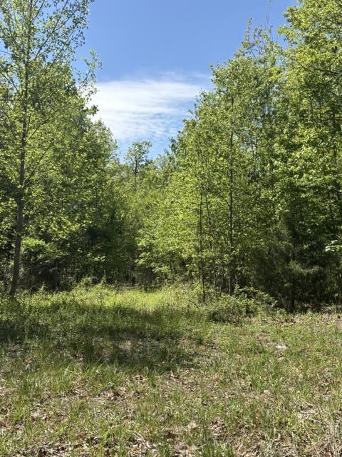 Davis Lane, Aroda, VA 22709