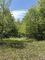 Davis Lane, Aroda, VA 22709