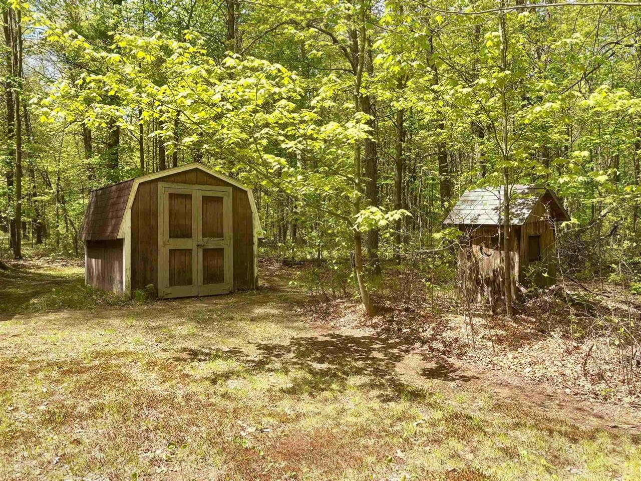N8784 Bernyce Lane, Willard, WI 54493