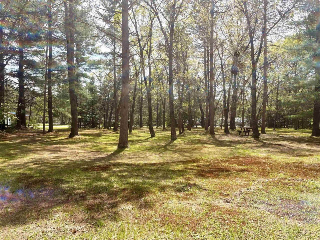 N8784 Bernyce Lane, Willard, WI 54493
