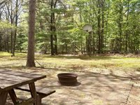 N8784 Bernyce Lane, Willard, WI 54493