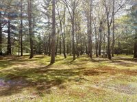 N8784 Bernyce Lane, Willard, WI 54493