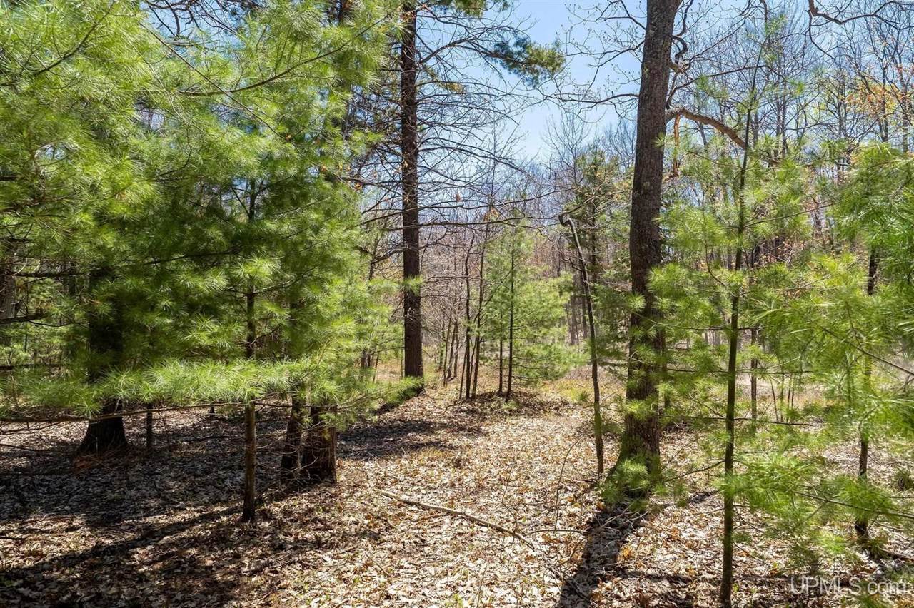 TBD S Tracie Lane, Marquette, MI 49855