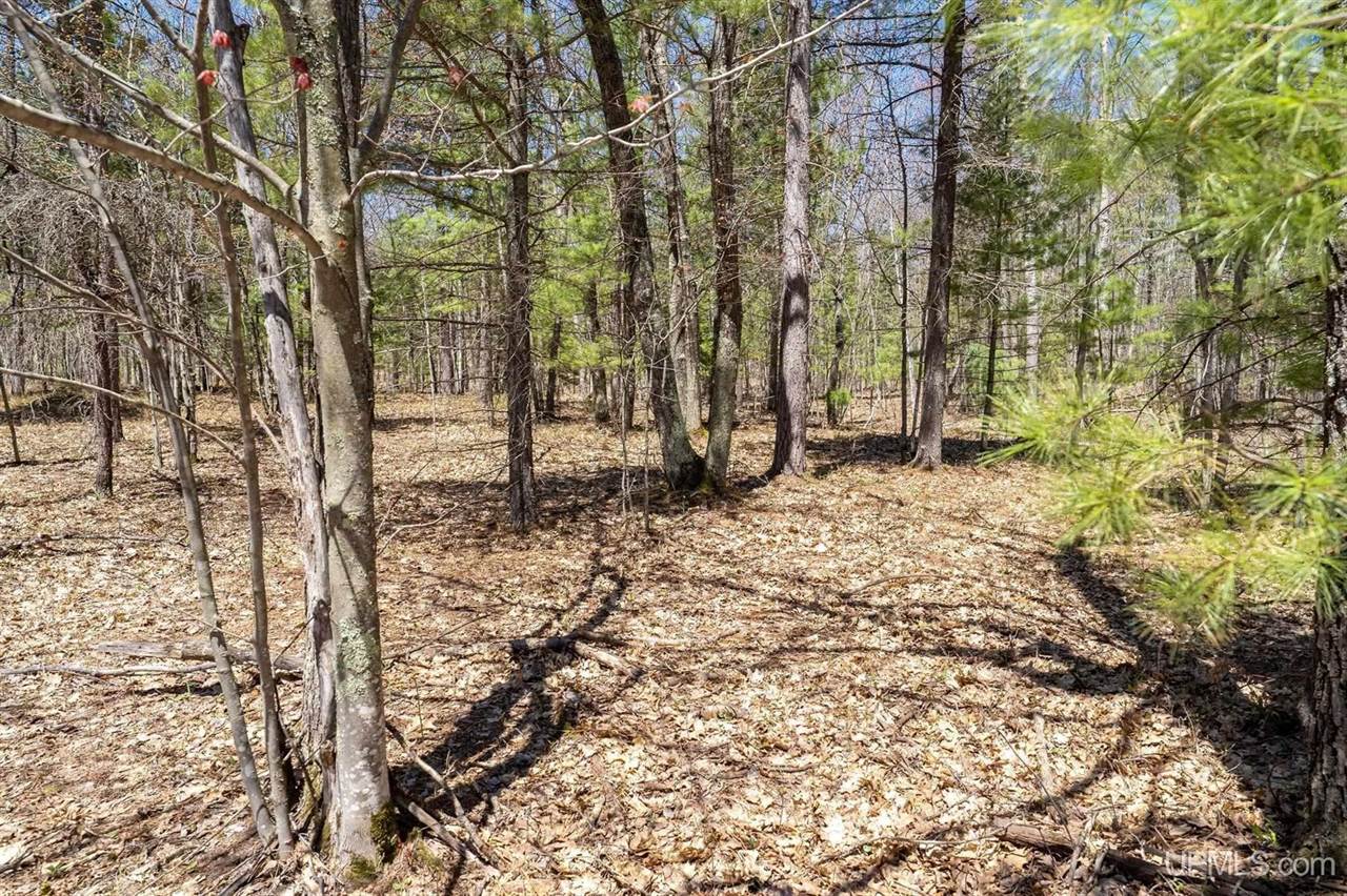 TBD S Tracie Lane, Marquette, MI 49855