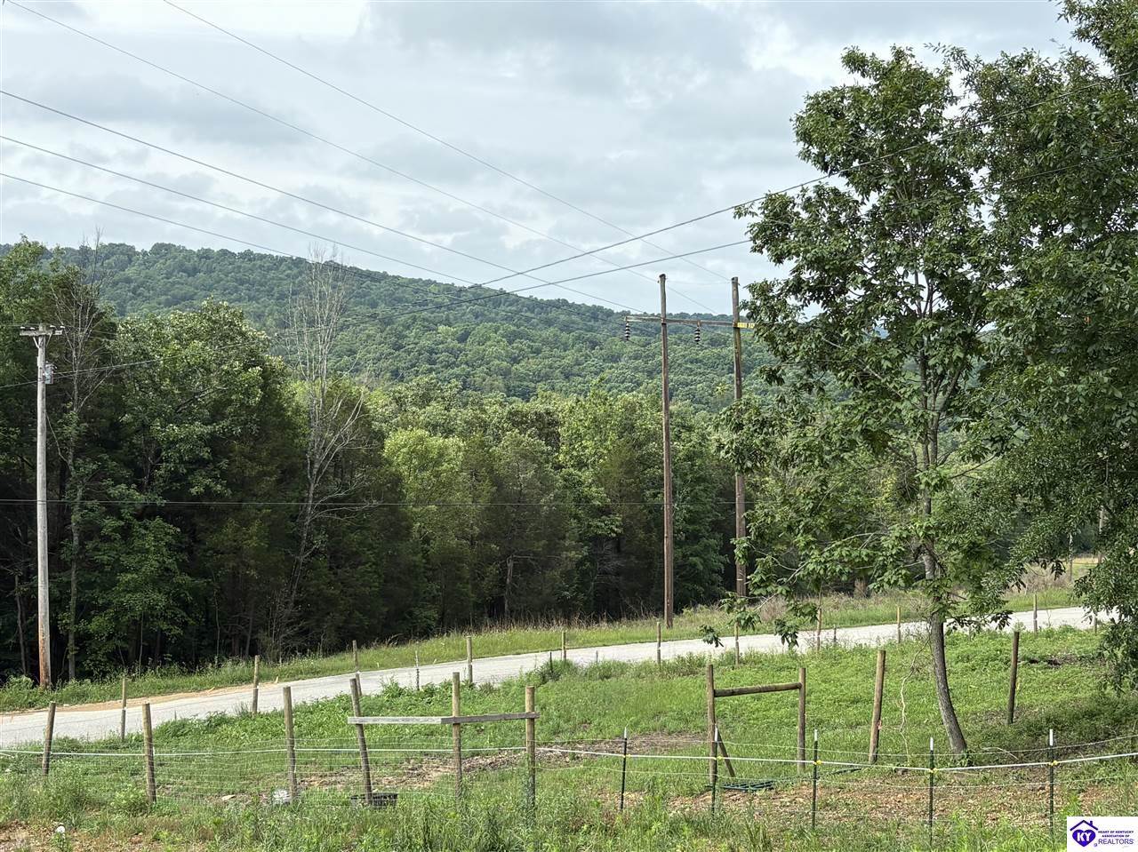 2088 Pine Ridge Road, Battletown, KY 40104