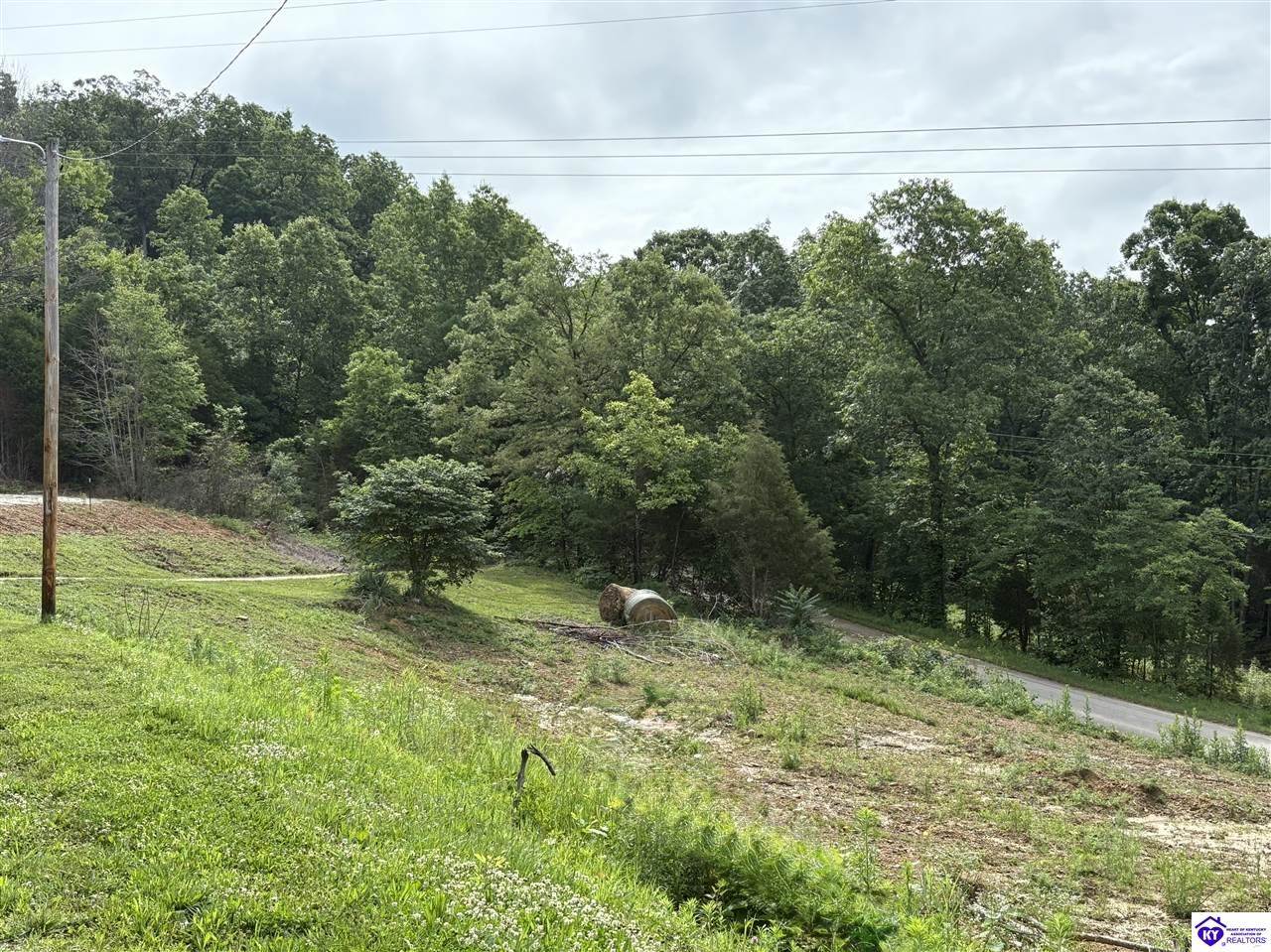 2088 Pine Ridge Road, Battletown, KY 40104