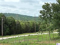 2088 Pine Ridge Road, Battletown, KY 40104