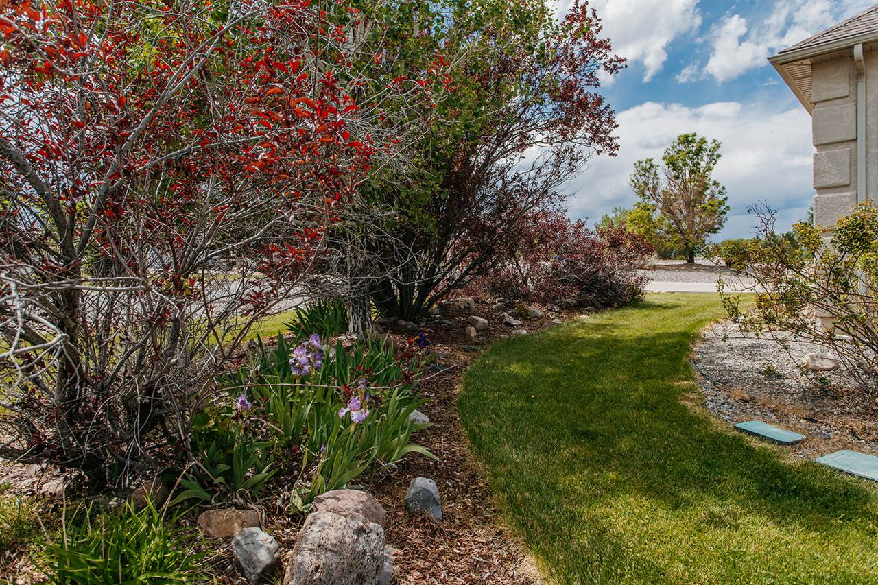 2230 Hill Street, Montrose, CO 81401