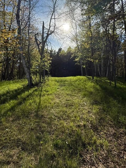 TBD County Road 3, Merrifield, MN 56465