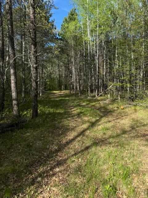 TBD County Road 3, Merrifield, MN 56465