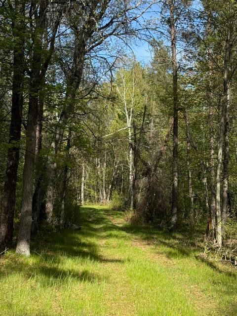 TBD County Road 3, Merrifield, MN 56465