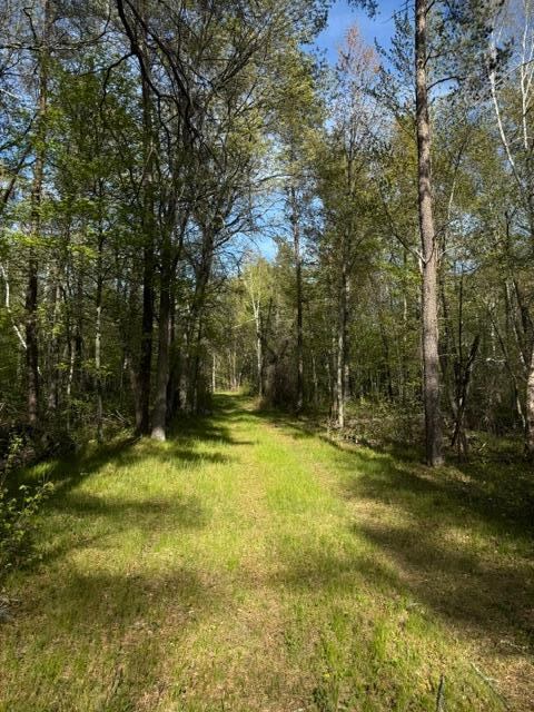 TBD County Road 3, Merrifield, MN 56465