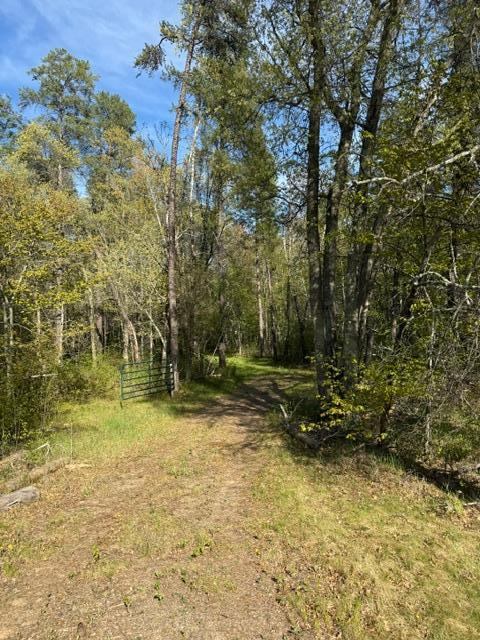 TBD County Road 3, Merrifield, MN 56465