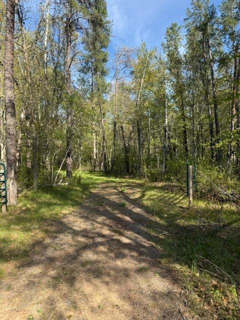 TBD County Road 3, Merrifield, MN 56465