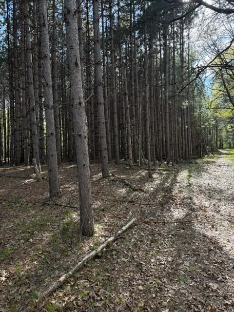 TBD County Road 3, Merrifield, MN 56465