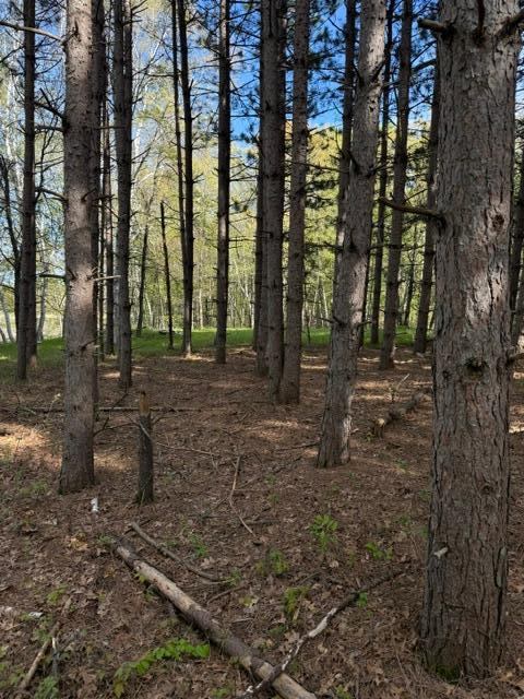 TBD County Road 3, Merrifield, MN 56465