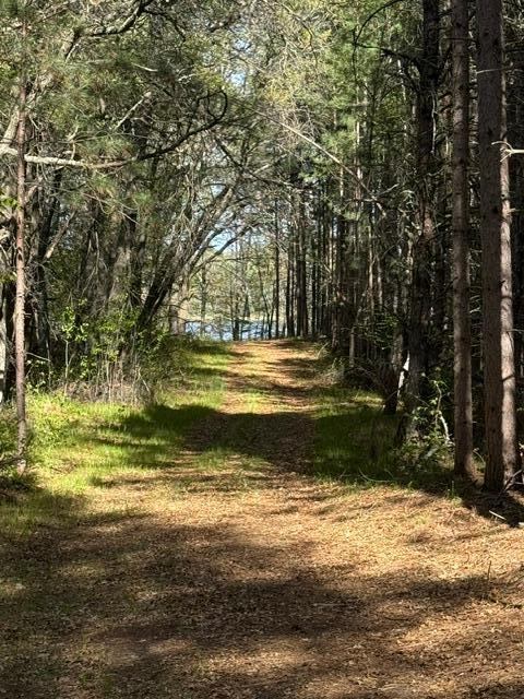 TBD County Road 3, Merrifield, MN 56465