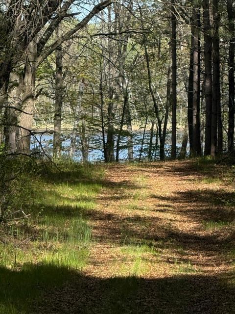 TBD County Road 3, Merrifield, MN 56465