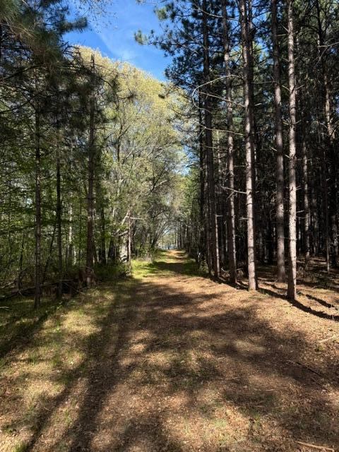 TBD County Road 3, Merrifield, MN 56465