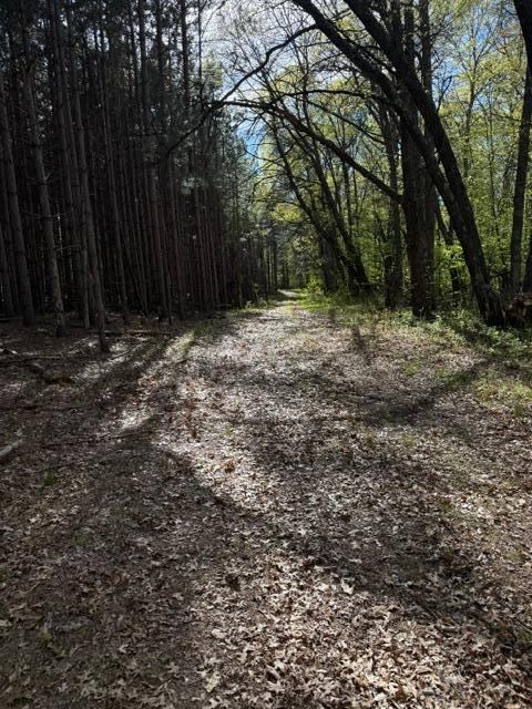 TBD County Road 3, Merrifield, MN 56465