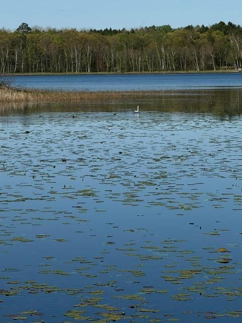 TBD County Road 3, Merrifield, MN 56465