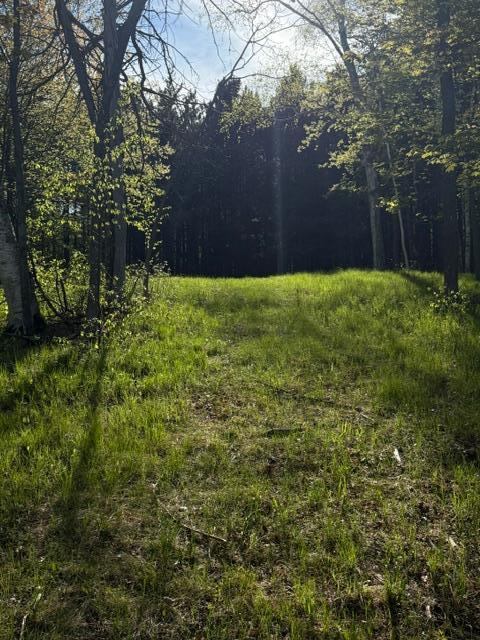 TBD County Road 3, Merrifield, MN 56465